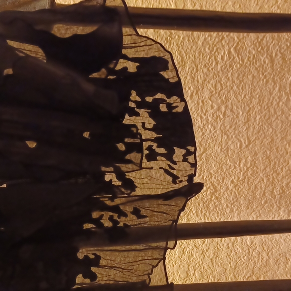 Black sheer evening top - Picture 9 of 11